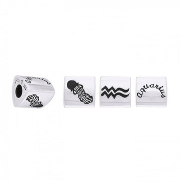 Triangle Aquarius Zodiac Silver Bead TBD095 - Jewelry